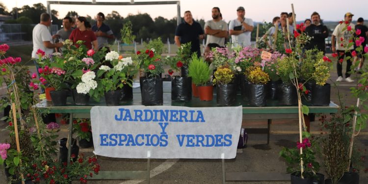 Más de 60 cursos gratuitos estarán disponibles este año en Maldonado