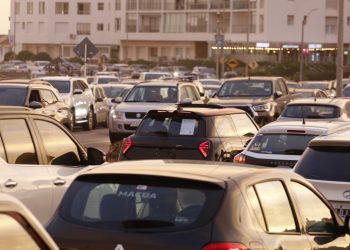Movilidad a pleno en Maldonado: más de 880 trámites de licencias y casi 800 gestiones vehiculares en una semana