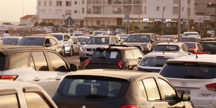 Movilidad a pleno en Maldonado: más de 880 trámites de licencias y casi 800 gestiones vehiculares en una semana