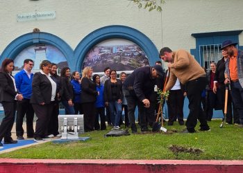 Sembrando futuro: el Municipio llevó árboles frutales a todos sus centros comunales en el Día Mundial del Medio Ambiente