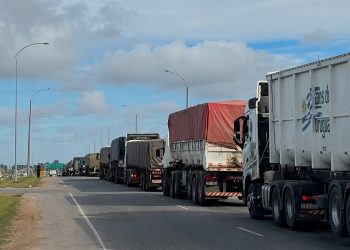 Camioneros de Maldonado se suman a movilizaciones contra aumento de combustible y guía electrónica; en la tarde presentan proclama al gobierno