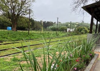 AFE y la Intendencia de Maldonado acordarán acciones para la puesta en valor del patrimonio ferroviario