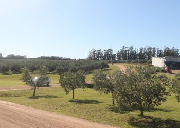 Promueven Taller de Formación en Turismo Regenerativo para Uruguay