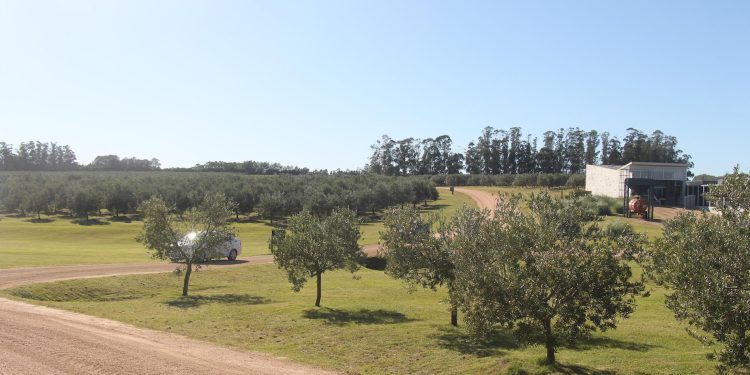 Promueven Taller de Formación en Turismo Regenerativo para Uruguay