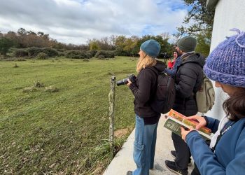 Wild Punta del Este e INEFOP impulsan la capacitación gratuita para fortalecer el turismo de observación de aves en el este del país