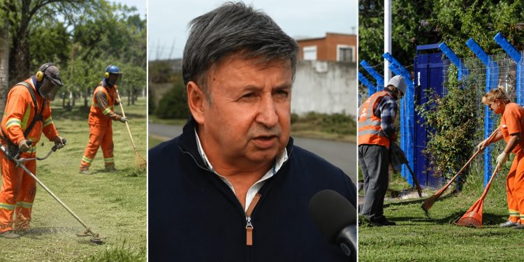 Servetto: “Maldonado creció un 30% y necesitamos más manos para mantener la limpieza”