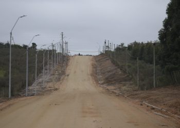 Más seguridad y mejor calidad de vida: Administración Abella suma nueva iluminación en Wilson Ferreira