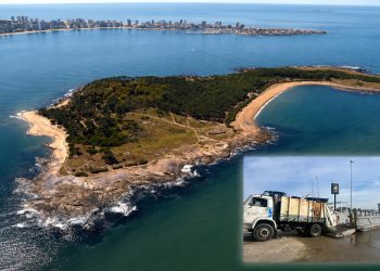Importante operativo permitió retirar toneladas de residuos acumulados en Isla Gorriti