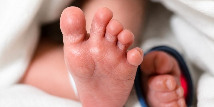 En Maldonado crecen matrimonios y nacimientos de niños