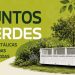 Piriápolis redistribuye los Puntos Verdes y recuerda que serán exclusivos para residuos de poda