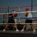 Más de 20 exhibiciones de boxeo reunirán a niños y jóvenes este sábado 8