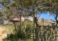 Voraz incendio destruyó una vivienda en José Ignacio y generó un amplio operativo de Bomberos