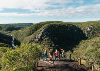 Los números del turismo en lo que va del año