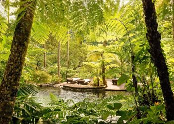 Viajar para sentirse mejor: cuatro hoteles que marcan la nueva era del Wellness Travel