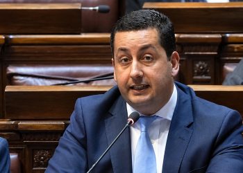 Diego Echeverría pide información al gobierno por personas que ingresan al país