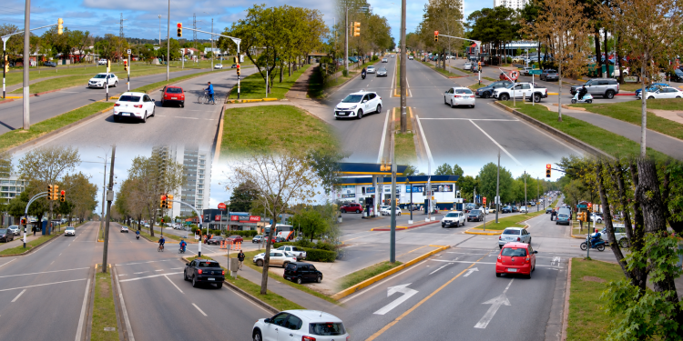 Cruzar en rojo sigue siendo una de las conductas más peligrosas detectadas en Maldonado