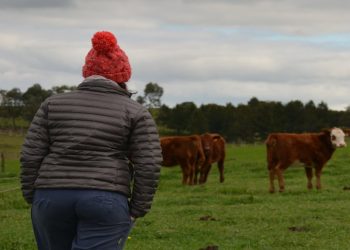 Hoy se conmemora el Día Internacional de las mujeres rurales