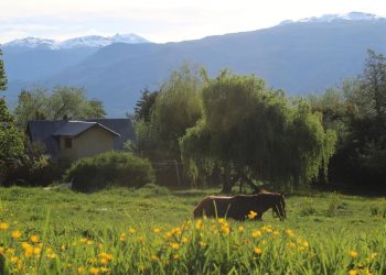 ¿Vivir en la montaña? En la Patagonia buscan voluntarios para instalarse