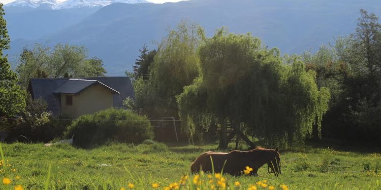 ¿Vivir en la montaña? En la Patagonia buscan voluntarios para instalarse