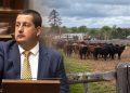 Diego Echeverría cuestionó la ausencia del MGAP en la Expo Rural de San Carlos