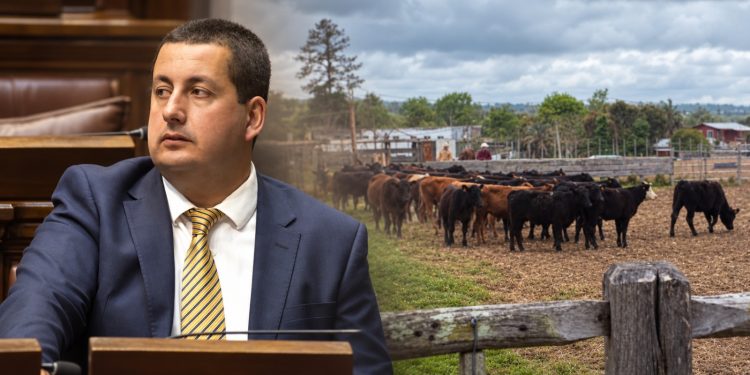 Diego Echeverría cuestionó la ausencia del MGAP en la Expo Rural de San Carlos