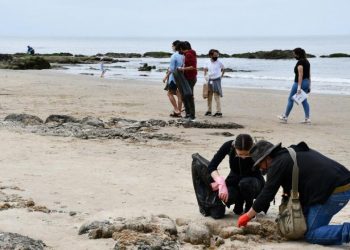 El 14 de noviembre se realiza la jornada de limpieza de playas