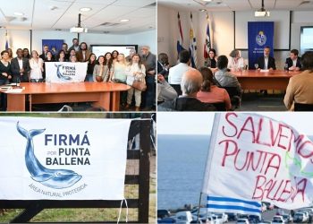 Ministerio de Ambiente recibió la propuesta para proteger Punta Ballena como Monumento Natural