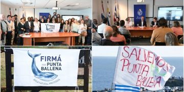 Ministerio de Ambiente recibió la propuesta para proteger Punta Ballena como Monumento Natural