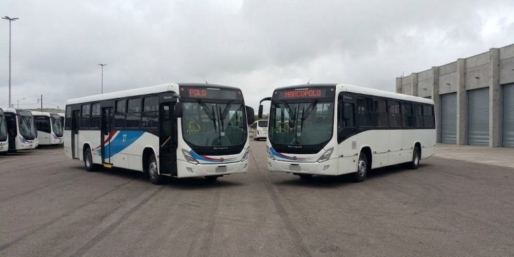 Dos nuevas líneas de transporte comenzarán a funcionar en Piriápolis por un año: estos serán sus recorridos