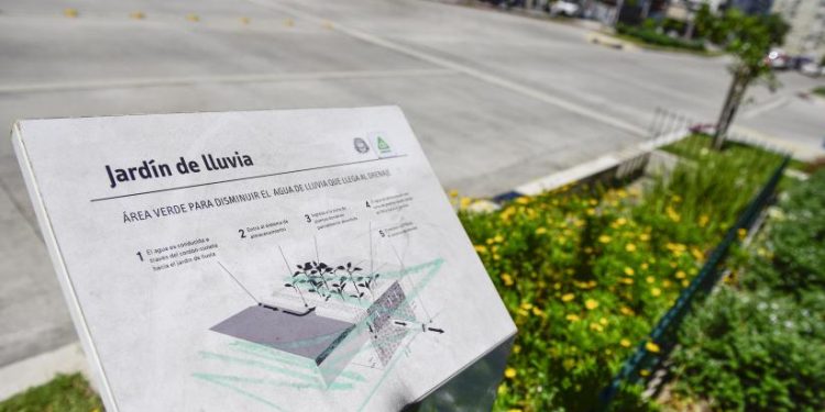 Intendencia de Montevideo tendrá 65 jardines de lluvia